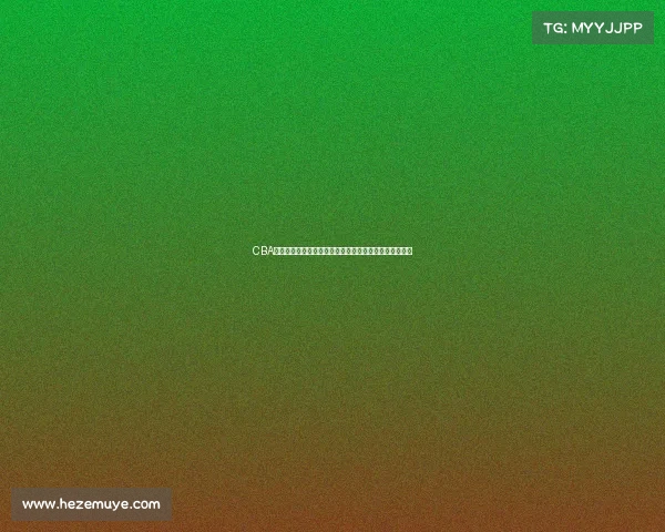 CBA战术板解析与应用探讨：提升球队战术执行力的关键因素